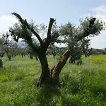 Cavalletti
