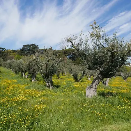 Aparthotel Cavalletti 4*